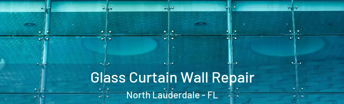  Glass Curtain Wall Repair North Lauderdale - FL